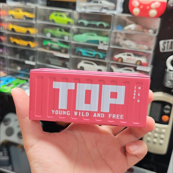 Mini Cargo Container Storage Box