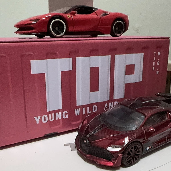 Mini Cargo Container Storage Box
