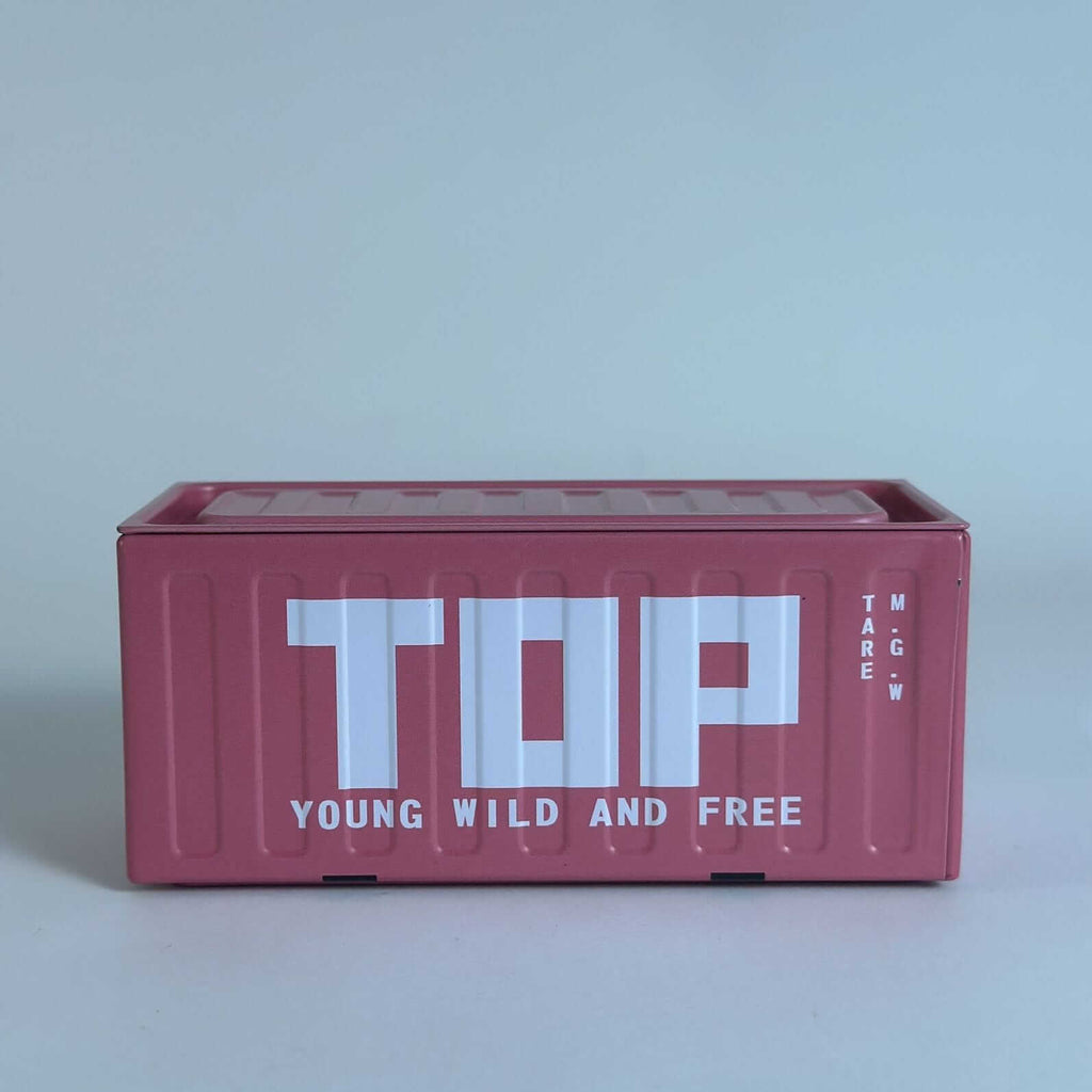 Mini Cargo Container Storage Box Top Pink