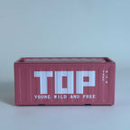 Mini Cargo Container Storage Box Top Pink