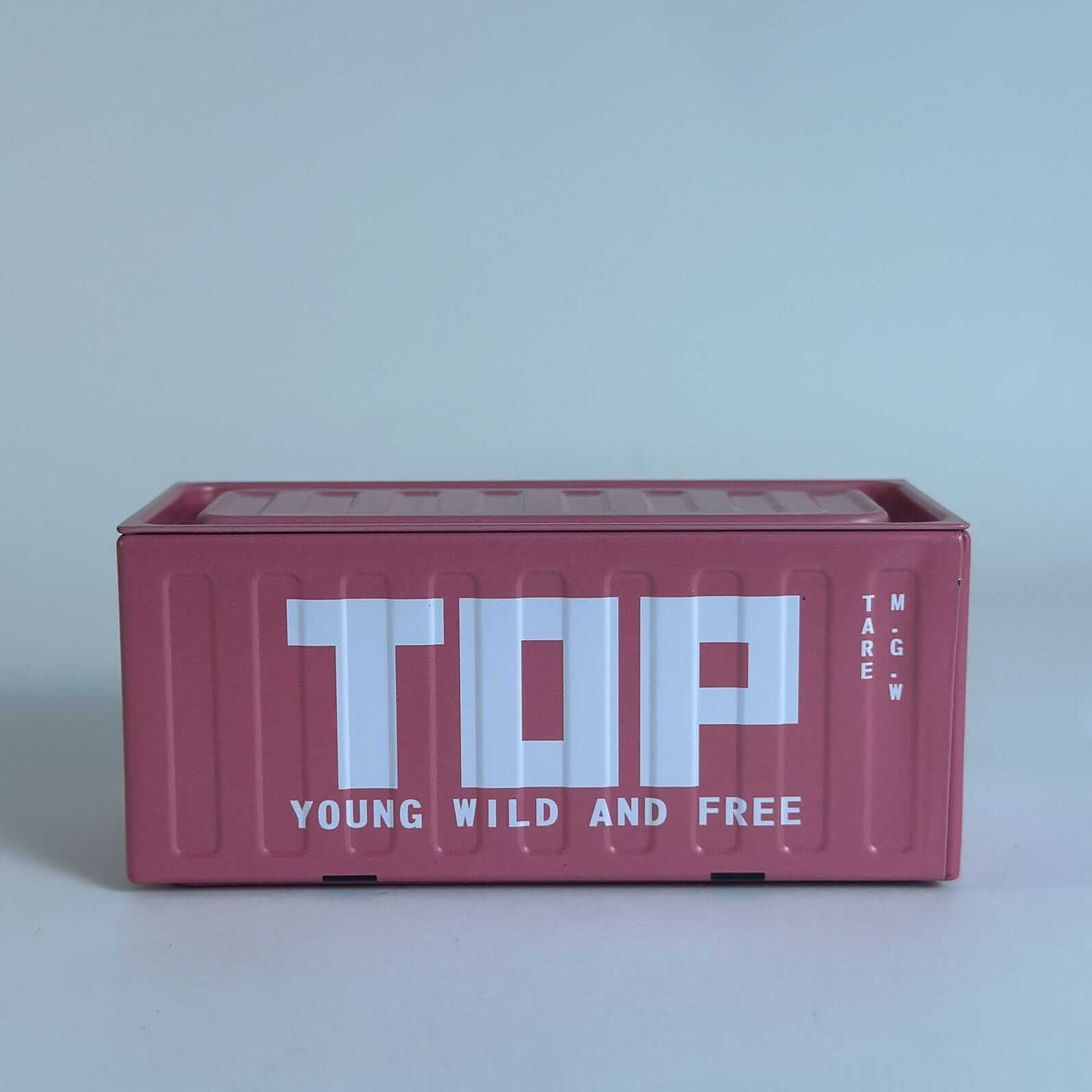 Mini Cargo Container Storage Box Top Pink