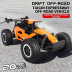 Metal Body Off-Road High Speed RC Car 1:16 Scale