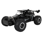 Metal Body Off-Road High Speed RC Car 1:16 Scale